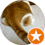Close-up of the back of a brown and white cat lying on a light surface, with its tail extended. An orange circle with a white star is overlaid in the bottom right corner.